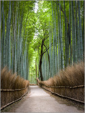 Självhäftande poster  Bamboo Forest in Kyoto Sagano Arashiyama, Japan - Jan Christopher Becke