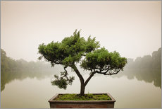 Självhäftande poster  Japanskt bonsaiträd i en zenträdgård