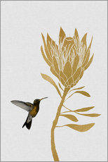 Galleritryck  Kolibri & blomma I - Orara Studio