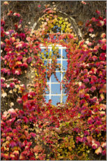 Poster Höstens fönster