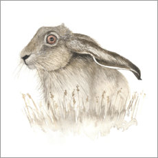 Poster Hare