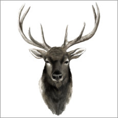 Poster Deer portrait