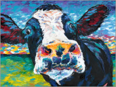 Akrylglastavla  Curious Cow I - Carolee Vitaletti
