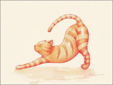 Poster Yoga Cat