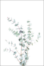 Aluminiumtavla  Eucalyptus II - Sisi And Seb