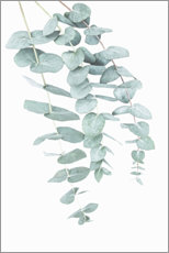 Canvastavla  Eucalyptus I - Sisi And Seb