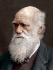 Trätavla  Charles Darwin