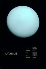 Poster Uranus (English)