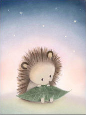 Poster  Little hedgehog - Dubravka Kolanovic