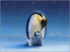Akrylglastavla  Penguins at night - Simon Mendez