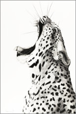 Poster Yawning Leopard