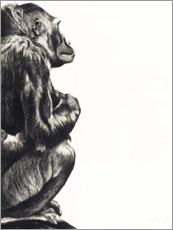 Akrylglastavla  Lady gorilla - Rose Corcoran