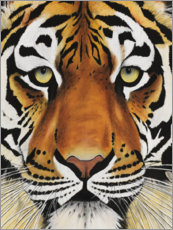 Poster Tiger face