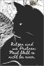 Poster Cats are like chocolates (german)