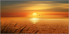 Galleritryck  Sunset Over The Ocean - Monika Jüngling