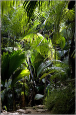 Självhäftande poster  Jungle path - Thomas Herzog