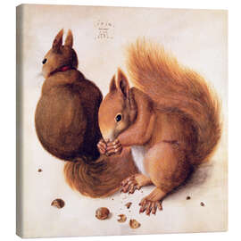Canvastavla  Squirrels - Albrecht Dürer