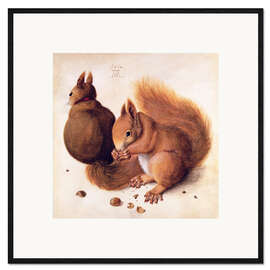 Inramat konsttryck  Squirrels - Albrecht Dürer