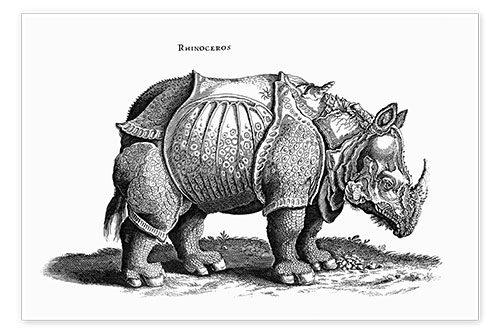 Poster Rhinoceros