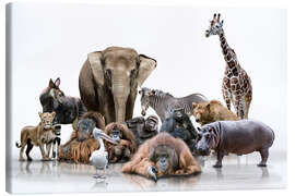 Canvastavla  wild animals - Werner Dreblow