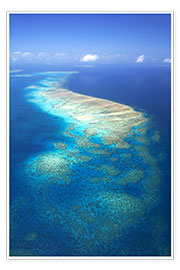 Poster  Great Barrier Reef Marine Park - David Wall