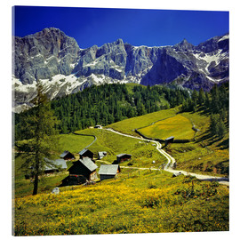 Akrylglastavla  Alm in the Dachstein Alps - Ric Ergenbright