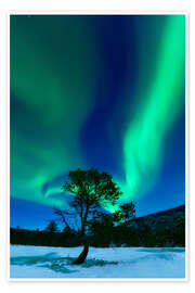 Poster Aurora Borealis, Forramarka, Troms, Norway.