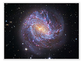 Poster The Southern Pinwheel Galaxy