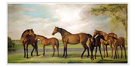 Poster Mares, foals and an approaching storm