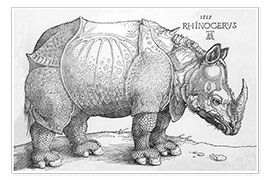 Poster The Rhinoceros