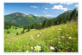 Poster  alpine meadow germany - bildpics