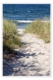 Poster  White dune on the beach of the island of Rügen - CAPTAIN SILVA