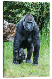 Canvastavla  Mama Gorilla with Baby Gorilla - Ingo Gerlach