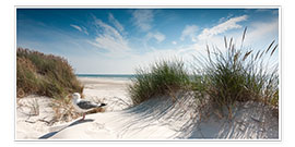 Poster  Vacker strand med klitt och fiskmås på ön Sylt, Tyskland - Reiner Würz