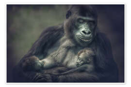 Poster  Gorilla twins - Manuela Kulpa