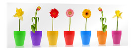 Akrylglastavla  Spring Flower Parade - Thomas Klee