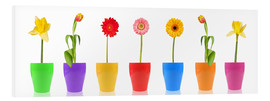 PVC-tavla  Spring Flower Parade - Thomas Klee
