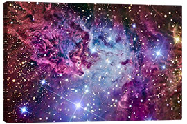Canvastavla  The Fox Fur Nebula - R Jay GaBany