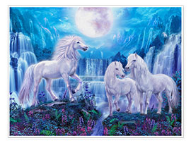 Poster Night Horses