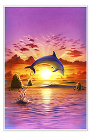 Poster Day of the dolphin - sunset