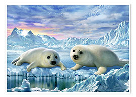 Poster  Seal pups - Adrian Chesterman