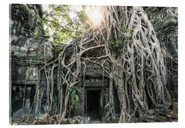 Akrylglastavla  Famous Tomb Raider temple, Angkor, Cambodia - Matteo Colombo