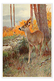 Poster  Roe Deer - Wilhelm Kuhnert