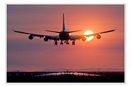 Poster  Aeroplane landing at sunset - David Nunuk