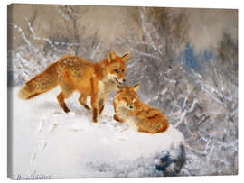 Canvastavla  Two foxes in a winter landscape - Bruno Andreas Liljefors