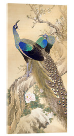 Akrylglastavla  Two peacocks in spring - Imao Keinen