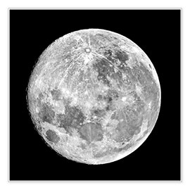 Poster Full Moon