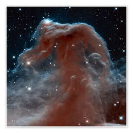 Poster  Horsehead Nebula, HST image - NASA