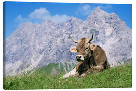 Canvastavla  Cow on a mountain meadow - Bjorn Svensson