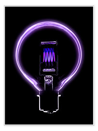 Poster  Incandescent light bulb filament - Mark Sykes